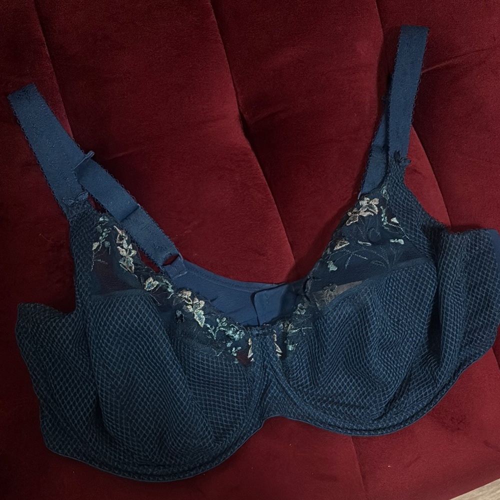 Blue Lace Bra with Floral Embroidery